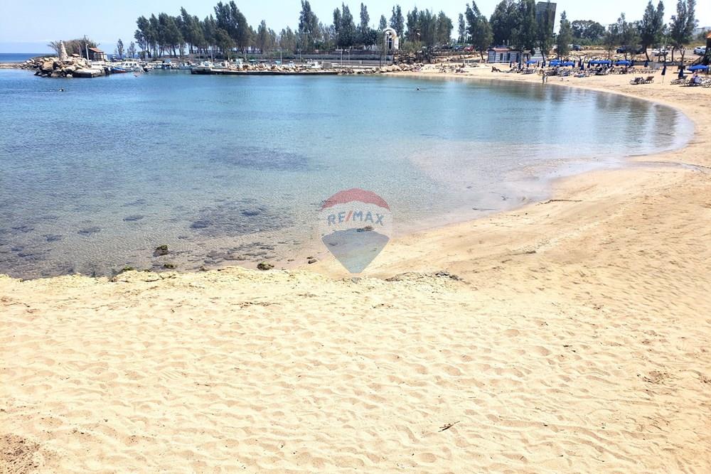 Residential - House - Paralimni, Famagusta - CY - 20260428_125630.jpg - 480091031-239