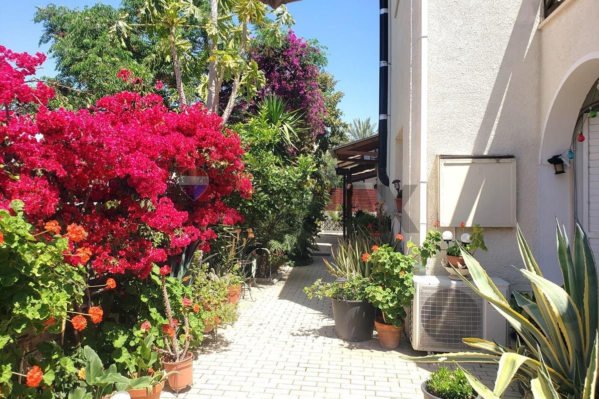 Residential - Semi-Detached House - Larnaca Municipality, Larnaca - CY - 20260509_112146.jpg - 480091031-242