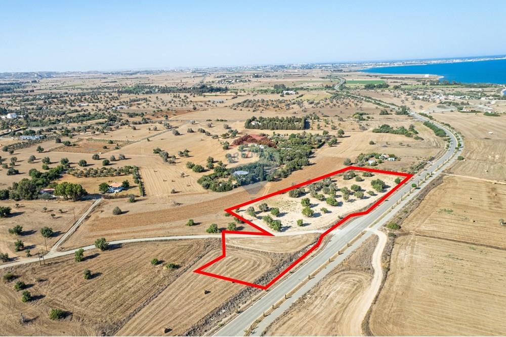 Prime Tourist Zone Land with Sea View Mazotos - Ansicht 3