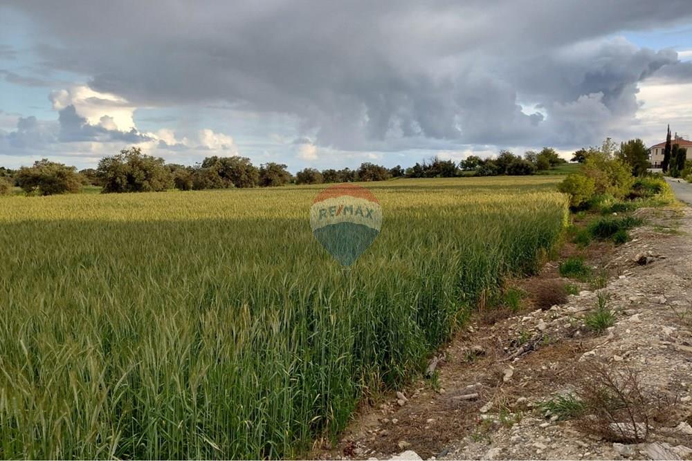 Residential Plot of 8027sqm Alethriko, Larnaca - Ansicht 4