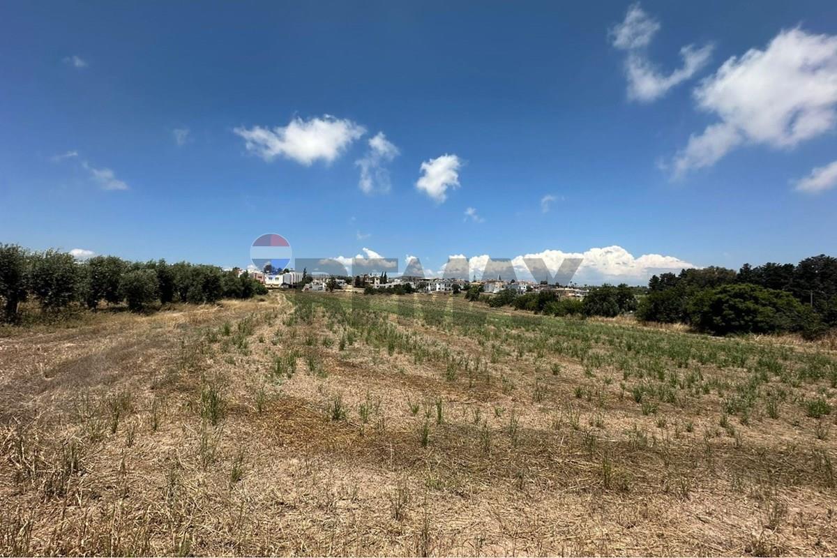 Plot of land for sale 13400 m² in Timi, Paphos