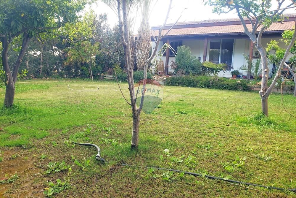 Residential - Bungalow - Dromolaxia-Meneou, Larnaca - CY - 20260330_172510.jpg - 480091031-231