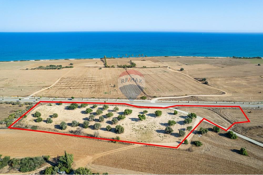Prime Tourist Zone Land with Sea View Mazotos - Ansicht 6