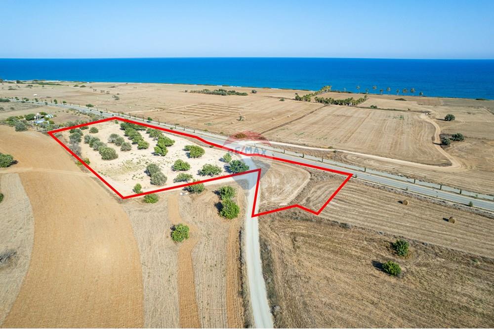 Prime Tourist Zone Land with Sea View Mazotos - Ansicht 5