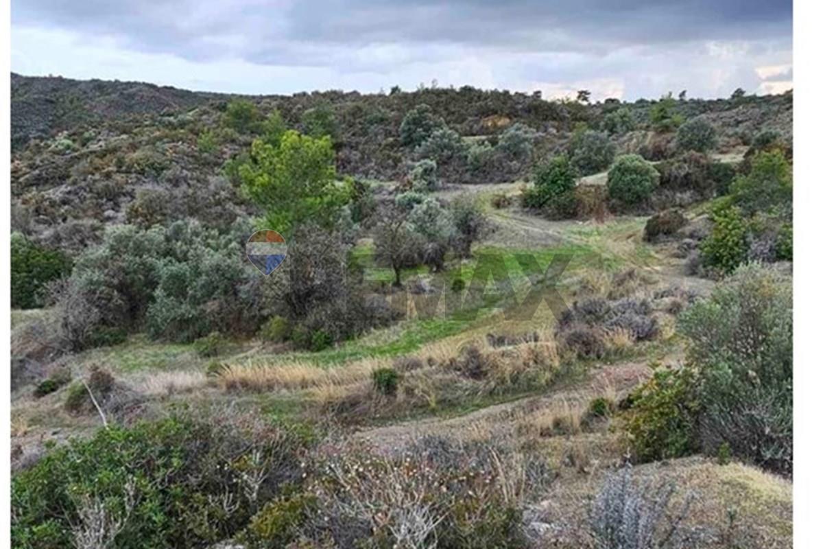 Plot of land for sale 12145 m² in Asgata, Limassol