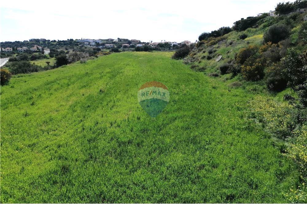 Terrain