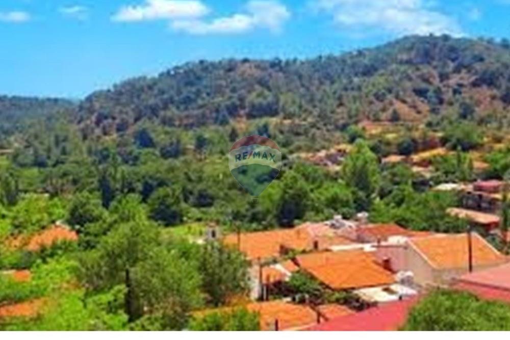 Terreny