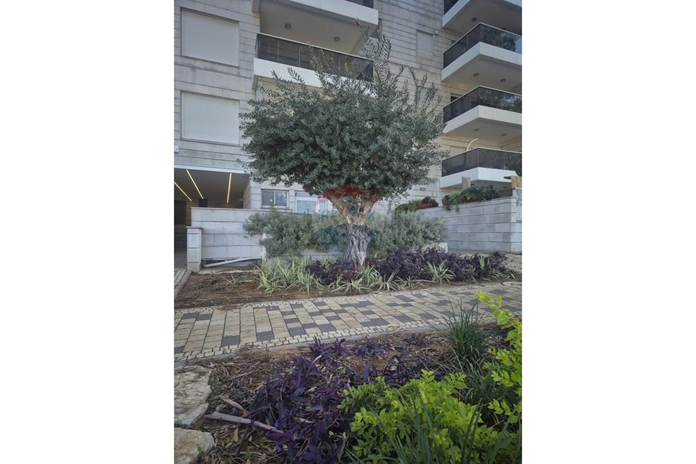 Apartment for Sale in קדימה - Image 5