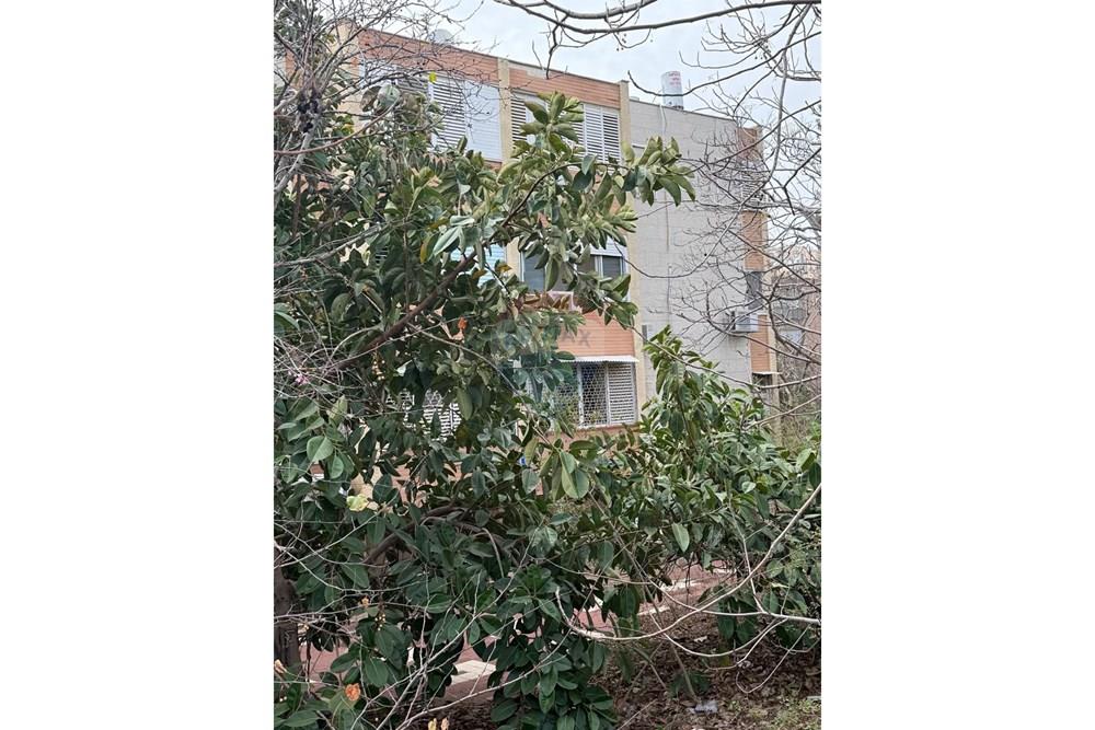 Apartment for Sale in נוף הגליל - Image 4