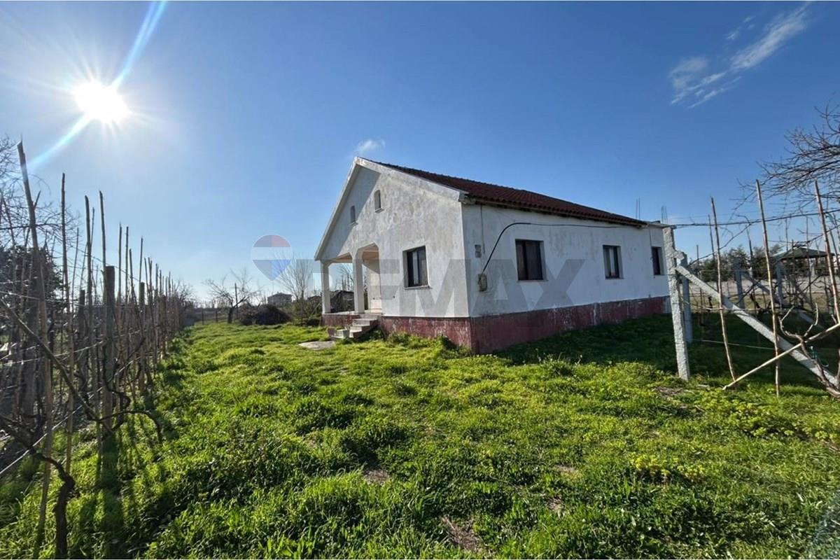 Lezhë, Lezhë