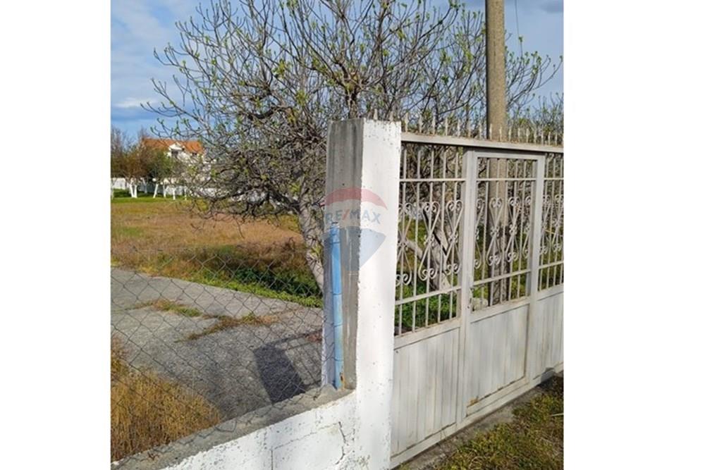 Velipojë, Shkodër