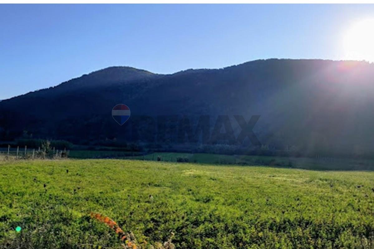 Bërzhitë, Tiranë