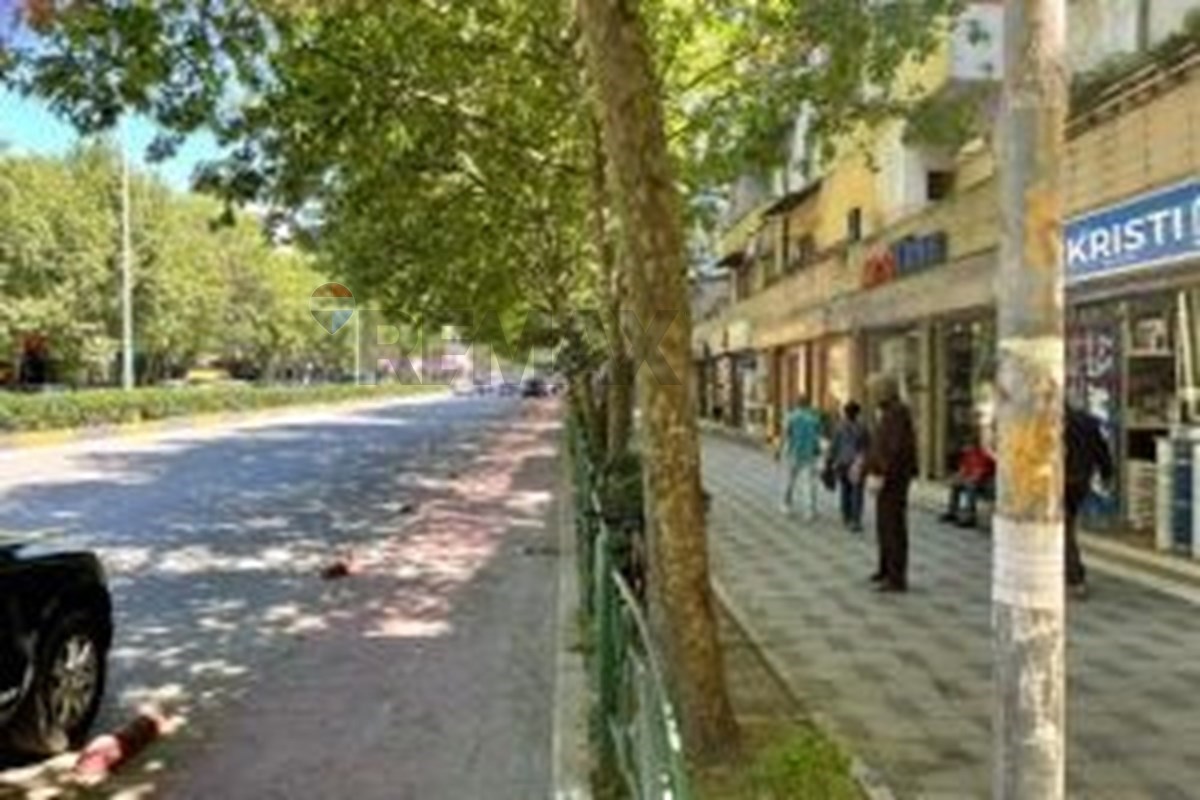 Bulevardi Gjergj Fishta, Tiranë