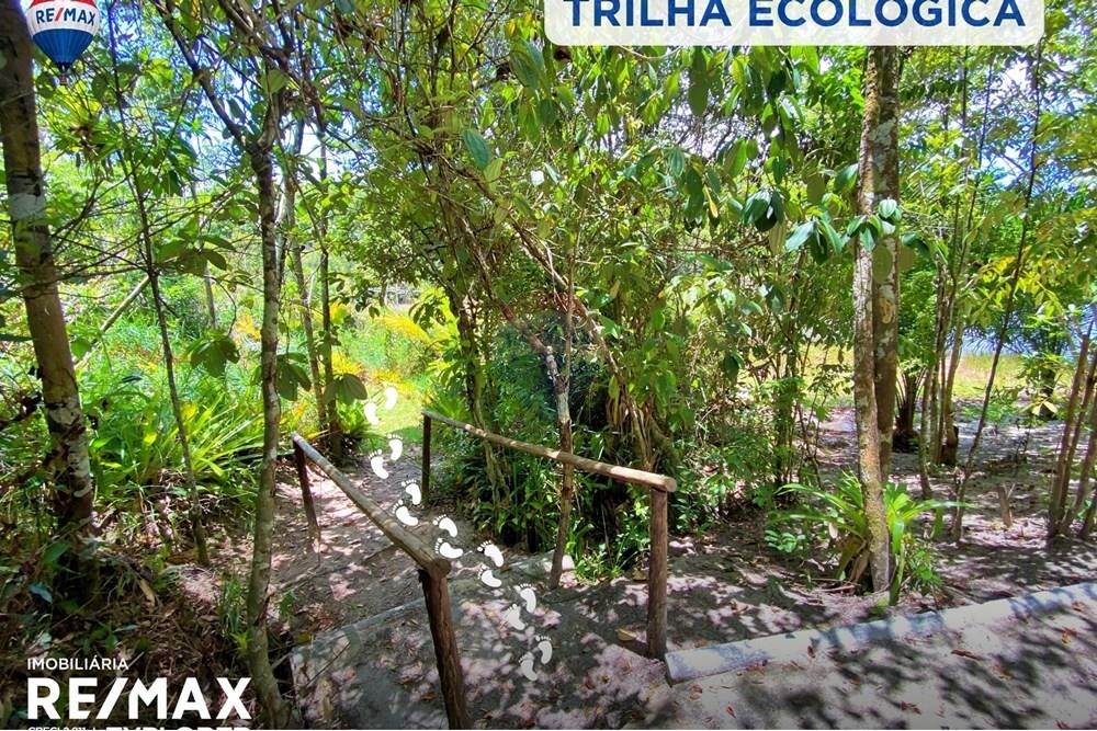 Terreno, 300 m² - Foto 9