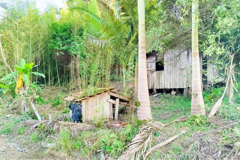 Terreno Rural em Benedito Novo Escriturado - foto 1