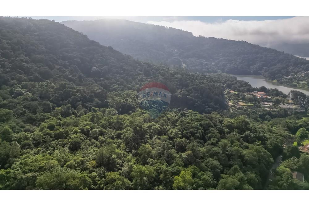 Sítio, 3 quartos, 2580 m² - Foto 6