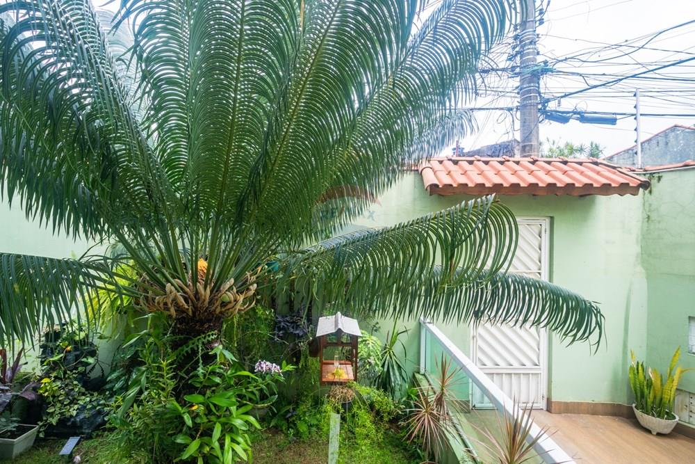 Casa, 3 quartos, 328 m² - Foto 32
