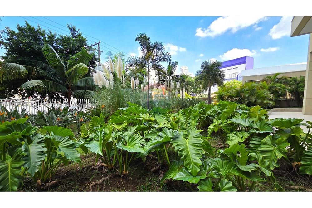 Apartamento, 3 quartos, 88 m² - Foto 22