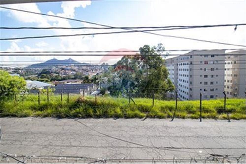 Casa, 4 quartos, 250 m² - Foto 29