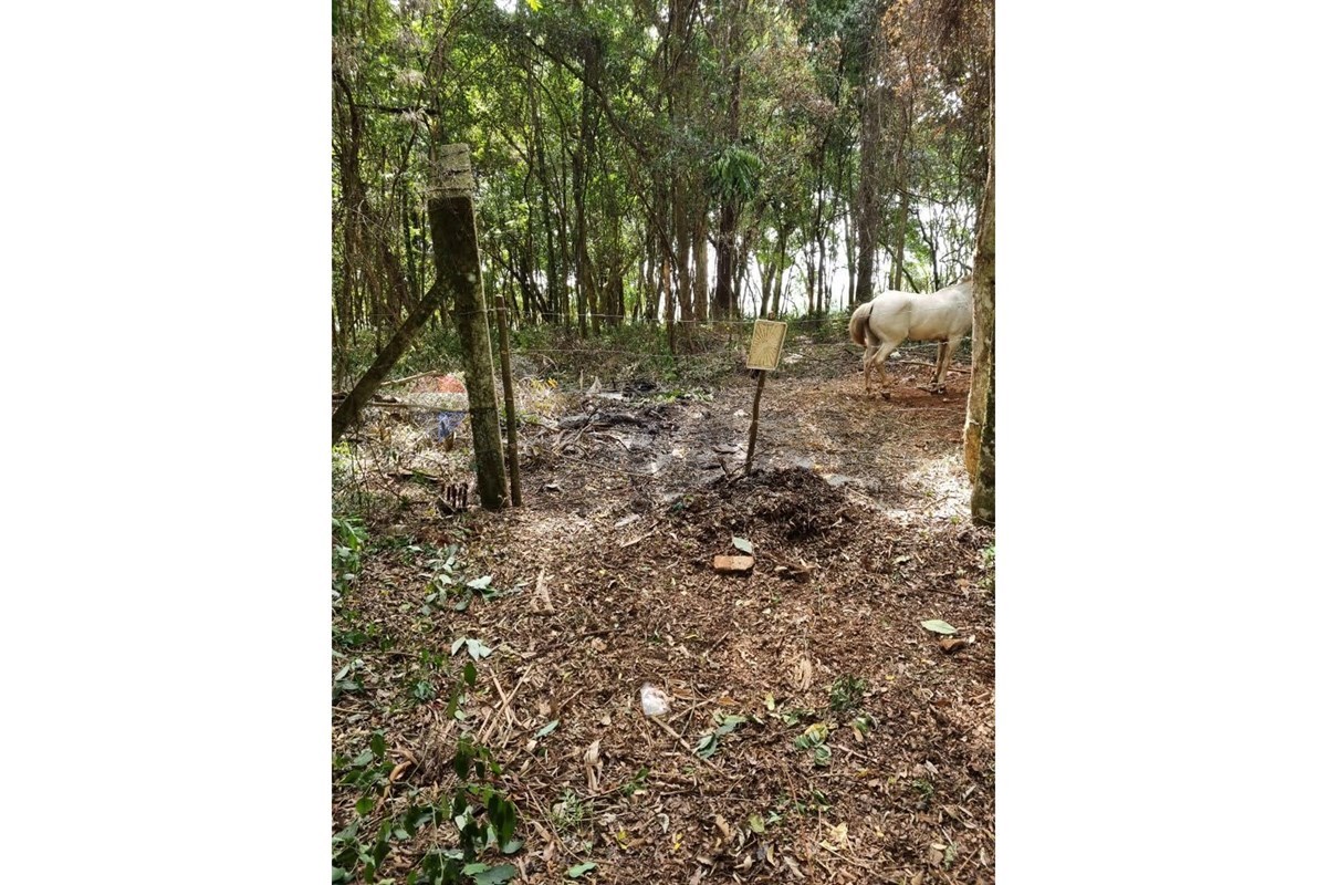 OTIMO TERRENO AO LADO DA SEDE CLUBE JUVENIL- ROSELANDIA — foto 1