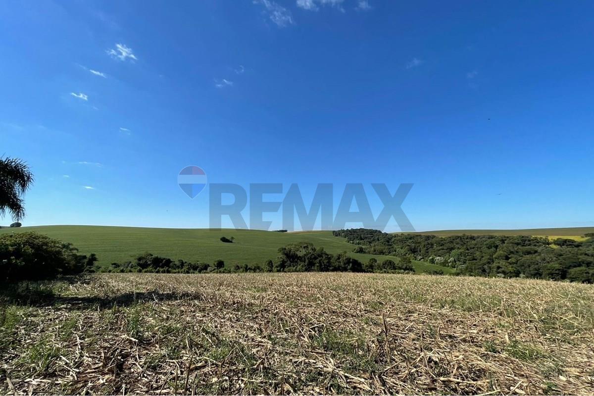 Área de Terra em Ronda Alta — foto 1