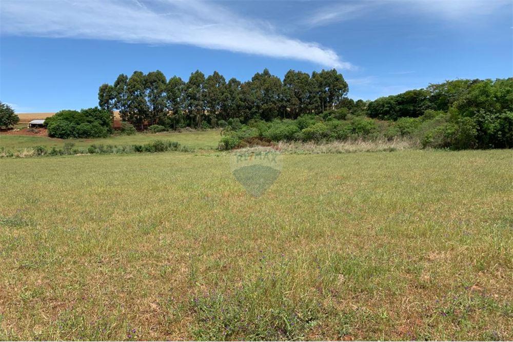 ÁREA DE TERRA EM ERNESTINA/RS — foto 1