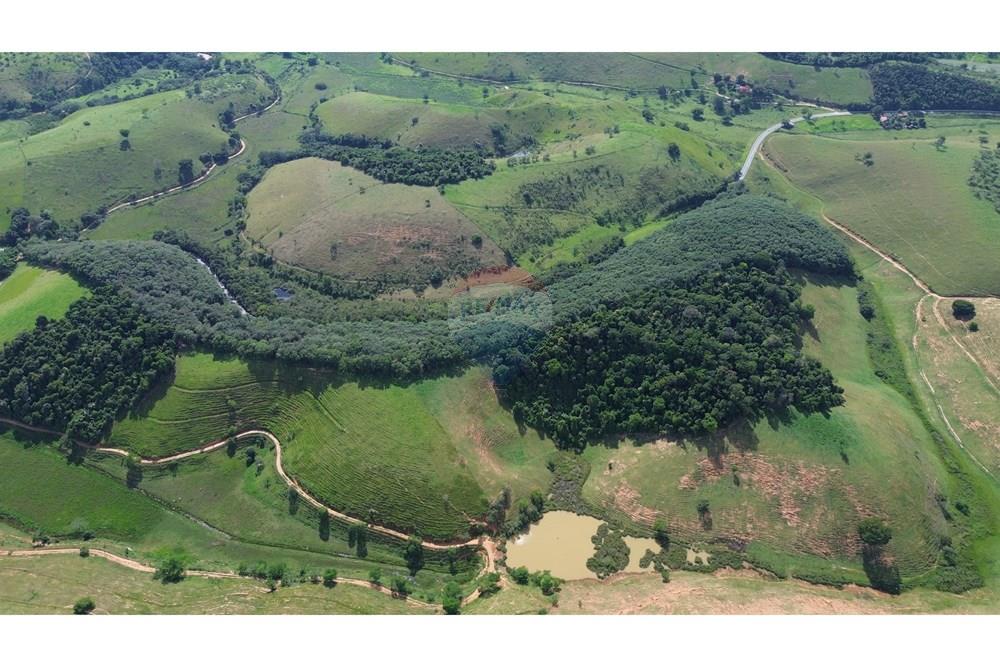 Sítio, 12 hectares - Foto 17