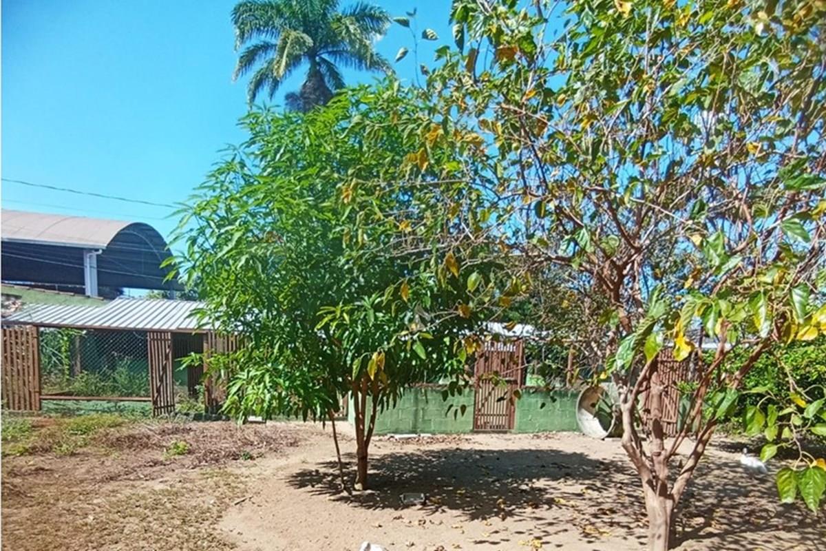 Terreno, 300 m² - Foto 7