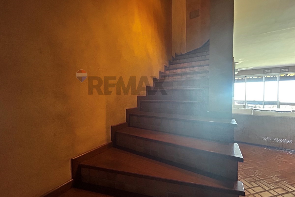 Casa, 4 quartos, 152 m² - Foto 37