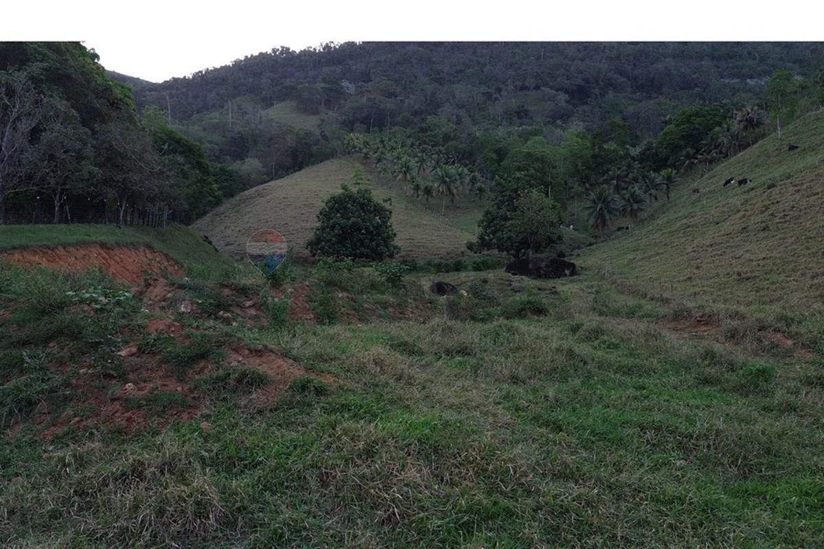 Sítio, 2 hectares - Foto 15