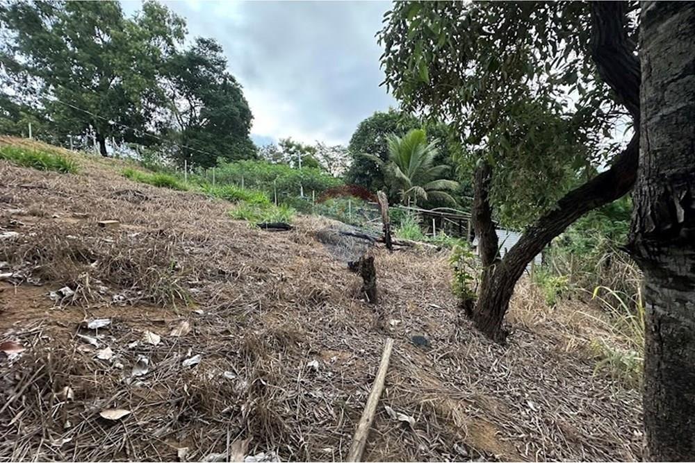 Terreno, 540 m² - Foto 15