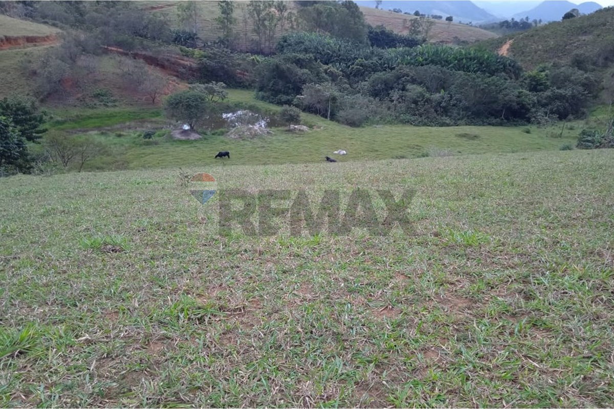 Sítio, 4300 m² - Foto 11
