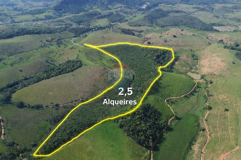 Sítio, 12 hectares - Foto 4