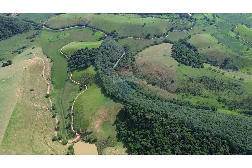 Sítio, 12 hectares - Foto 18