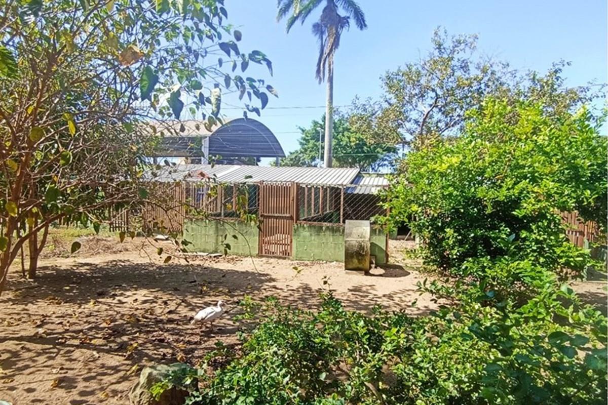 Terreno, 300 m² - Foto 19