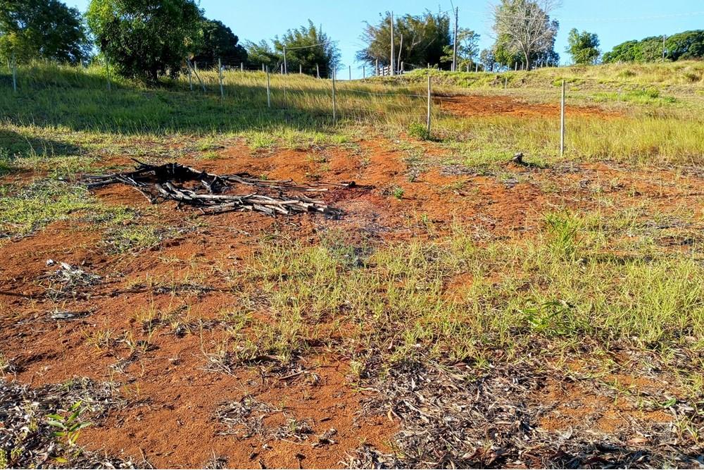 Terreno, 366 m² - Foto 12