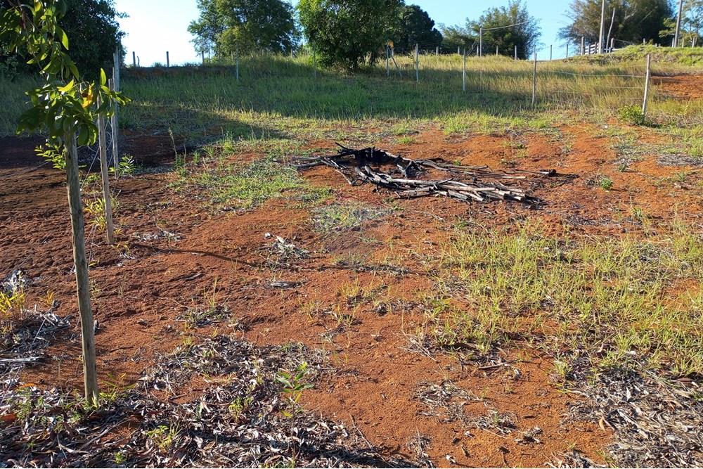 Terreno, 366 m² - Foto 9