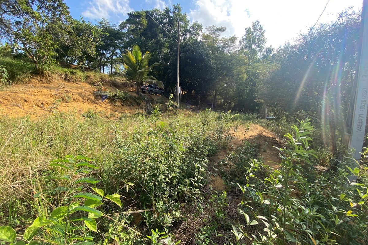 Terreno, 600 m² - Foto 34