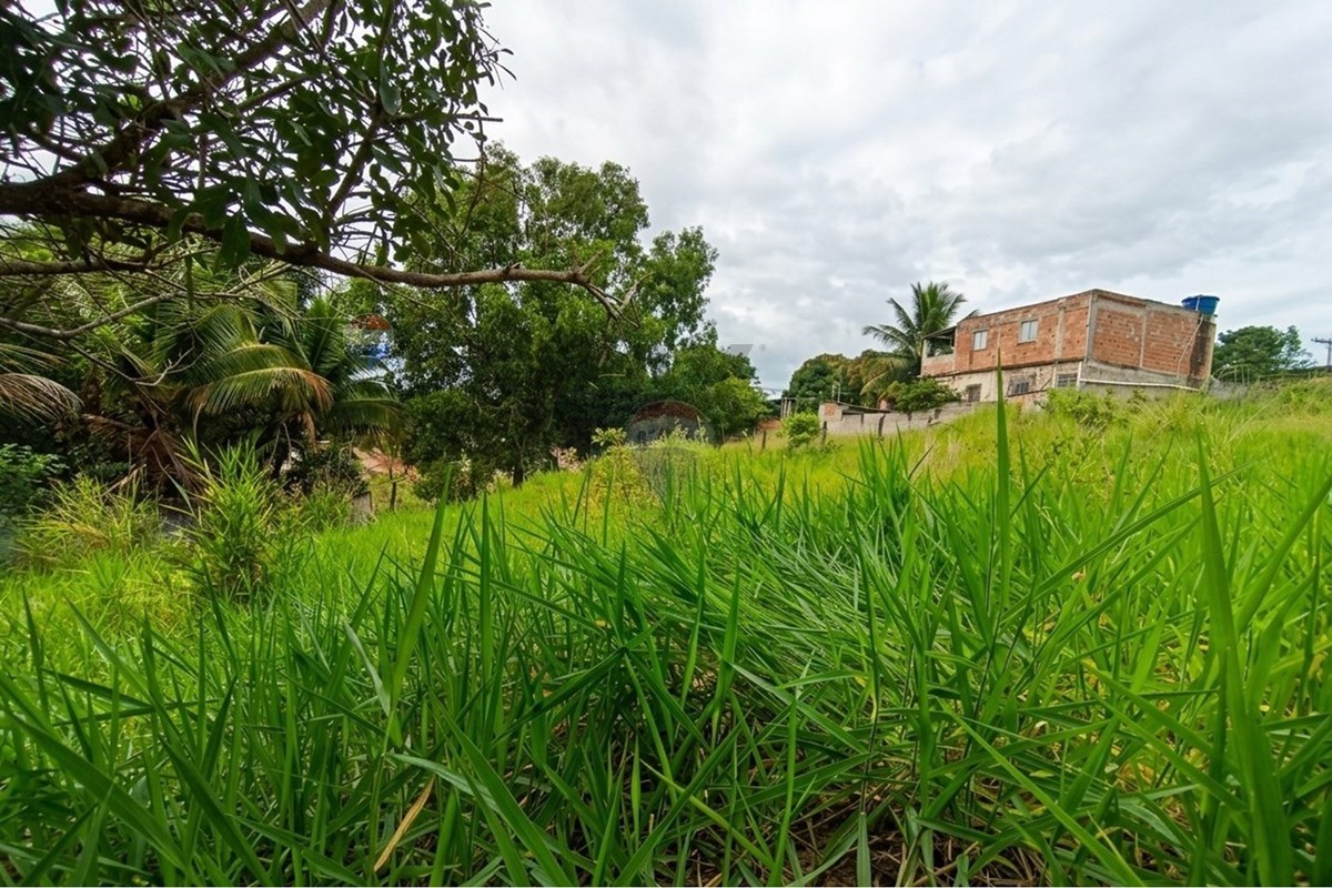 Terreno - Foto 11