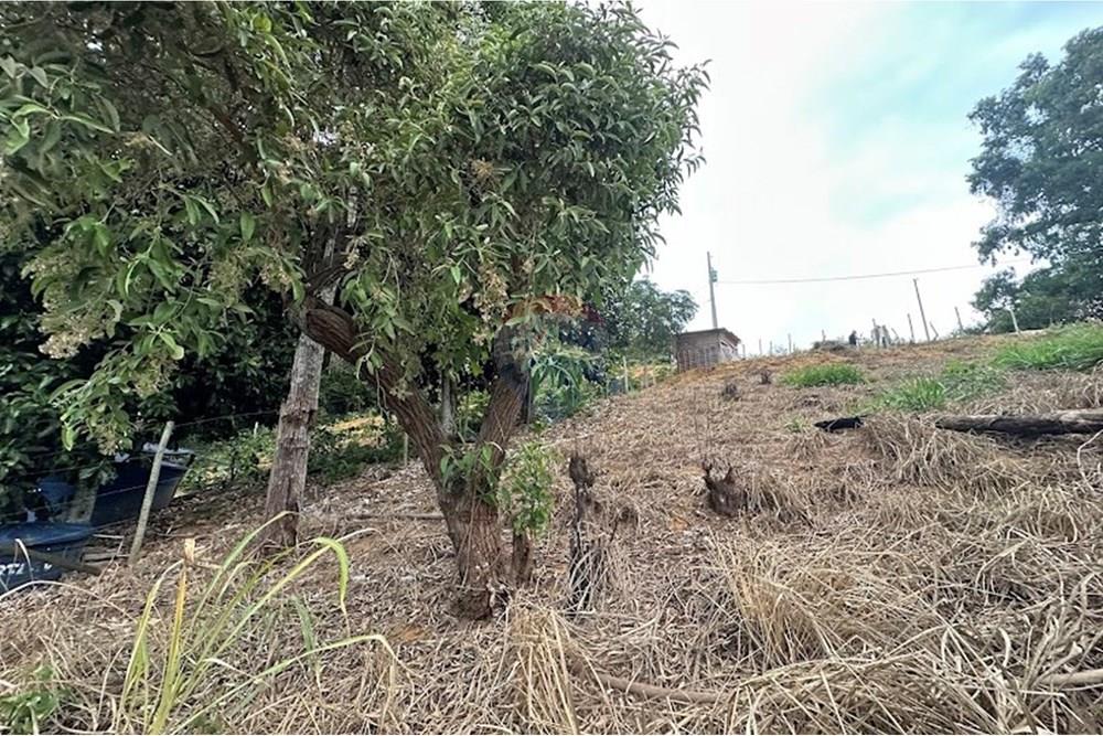 Terreno, 540 m² - Foto 16