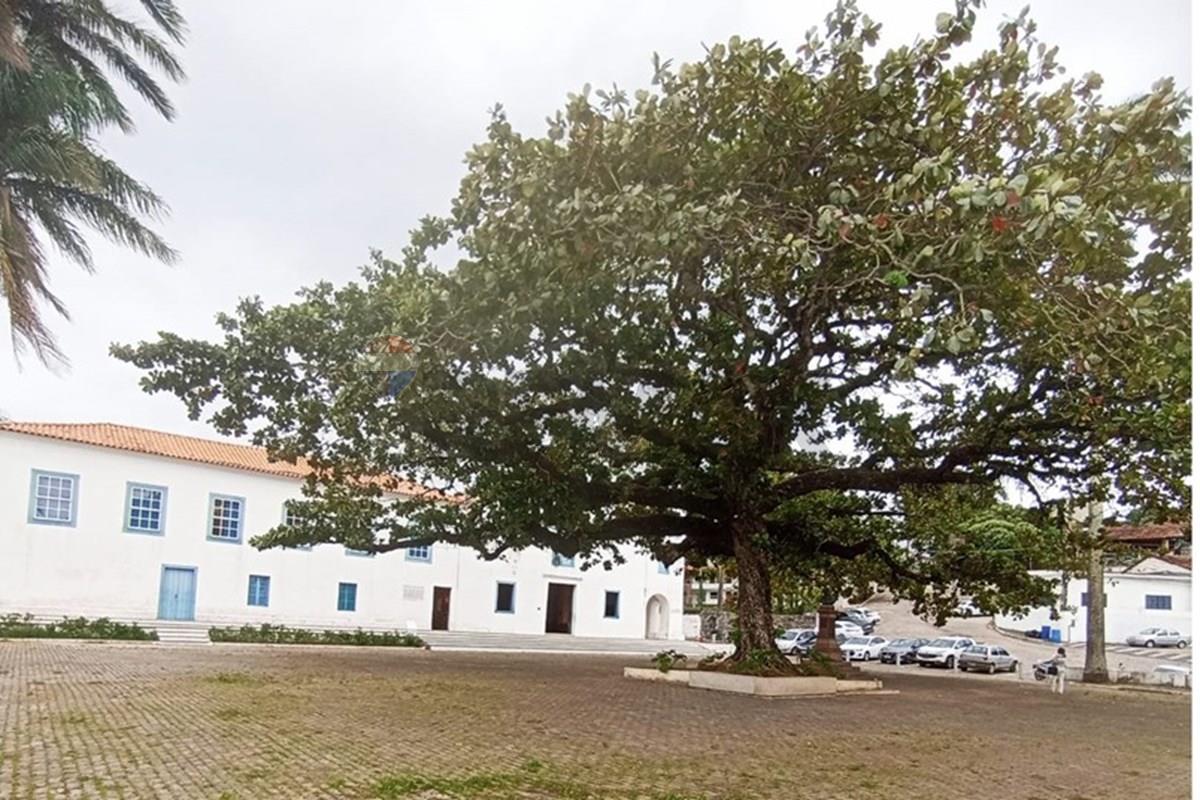 Terreno, 300 m² - Foto 31