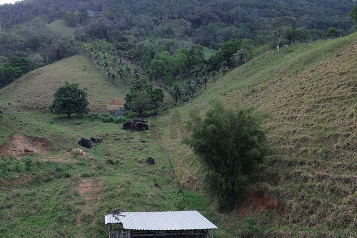 Sítio, 2 hectares - Foto 1