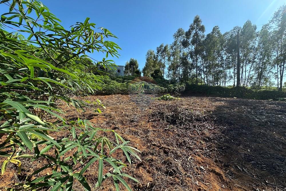 Terreno, 900 m² - Foto 3