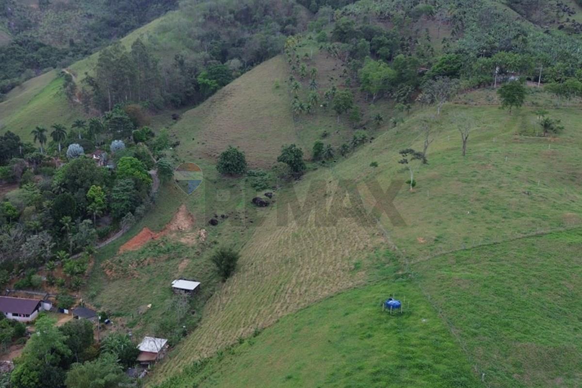 Sítio, 2 hectares - Foto 11