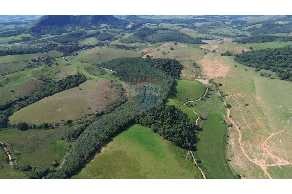 Sítio, 12 hectares - Foto 14