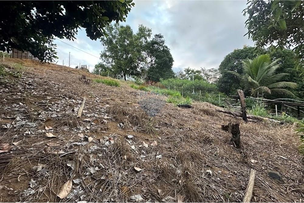 Terreno, 540 m² - Foto 14