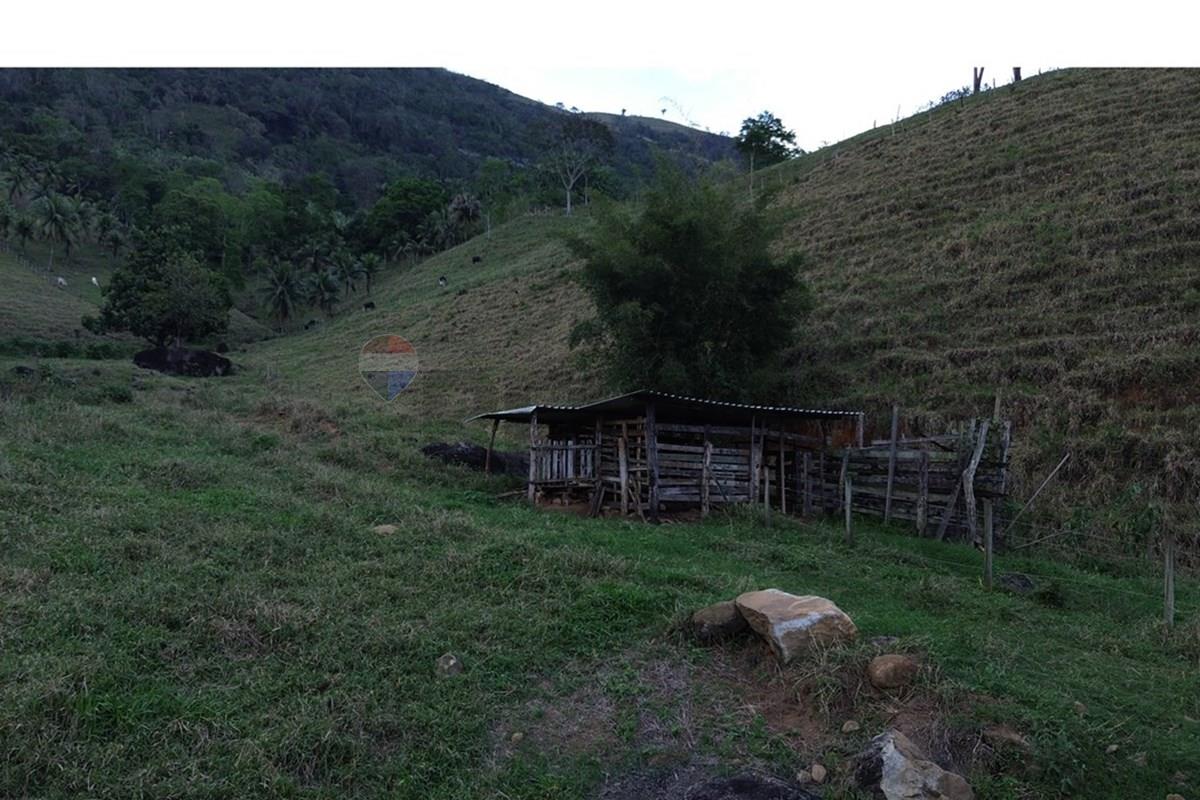 Sítio, 2 hectares - Foto 22