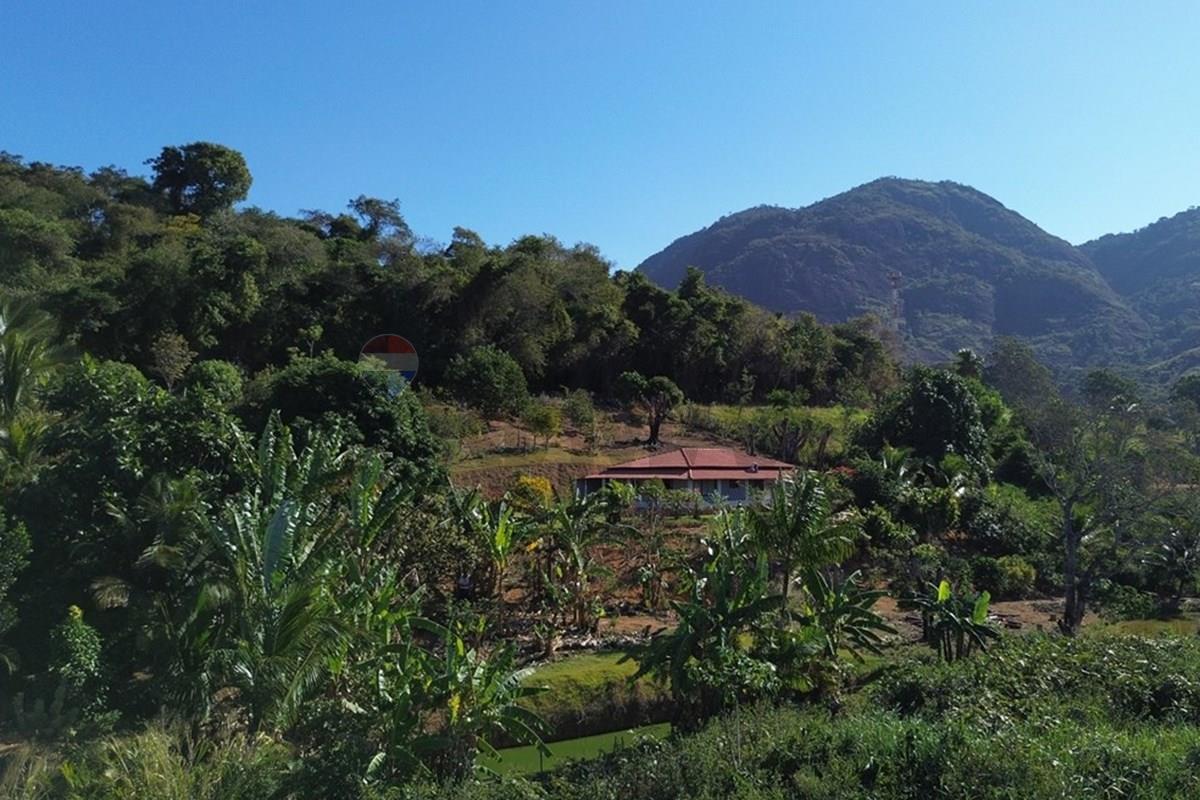 Sítio, 3 quartos, 3700 m² - Foto 53