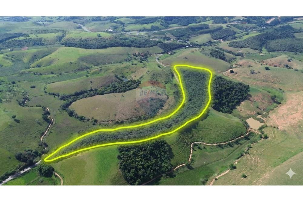 Sítio, 12 hectares - Foto 8