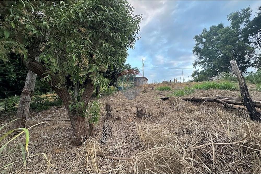 Terreno, 540 m² - Foto 17